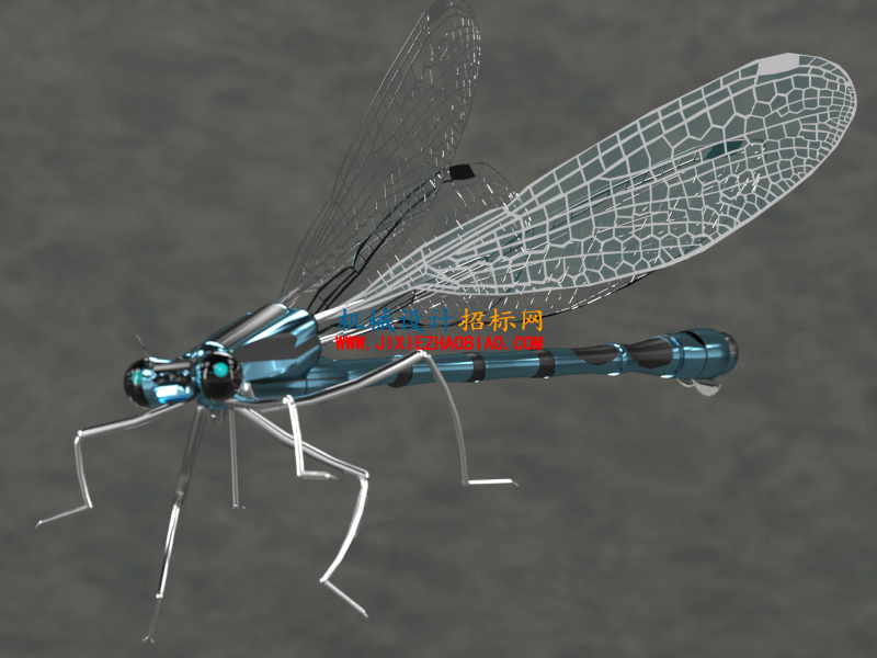 damseifly_v3.png