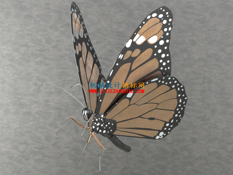 butterfly_v1x.png