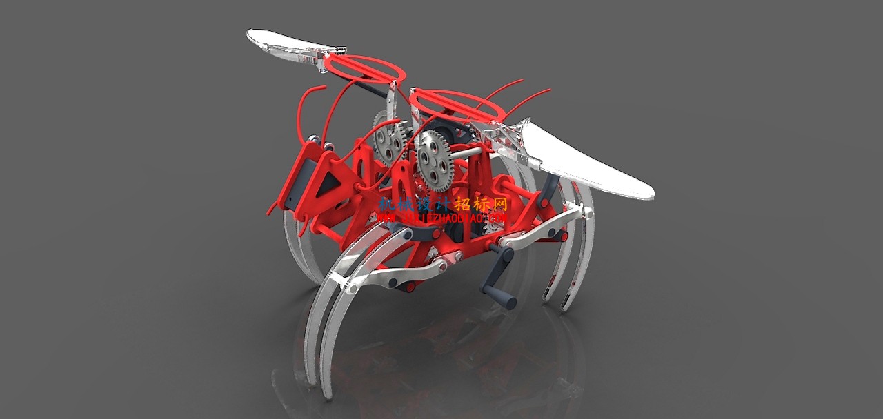 Flying spider.616.jpg