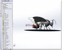 solidworks的蜜蜂模型